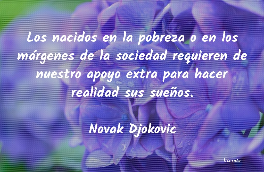 Frases de Novak Djokovic