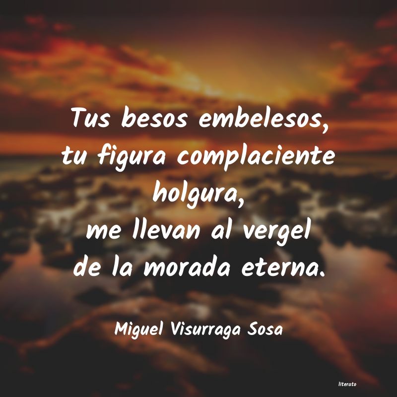 frases de Miguel Visurraga Sosa