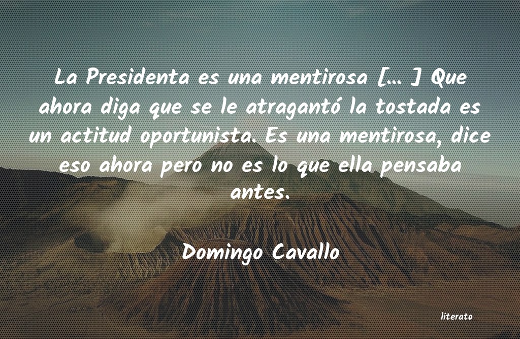 Frases de Domingo Cavallo