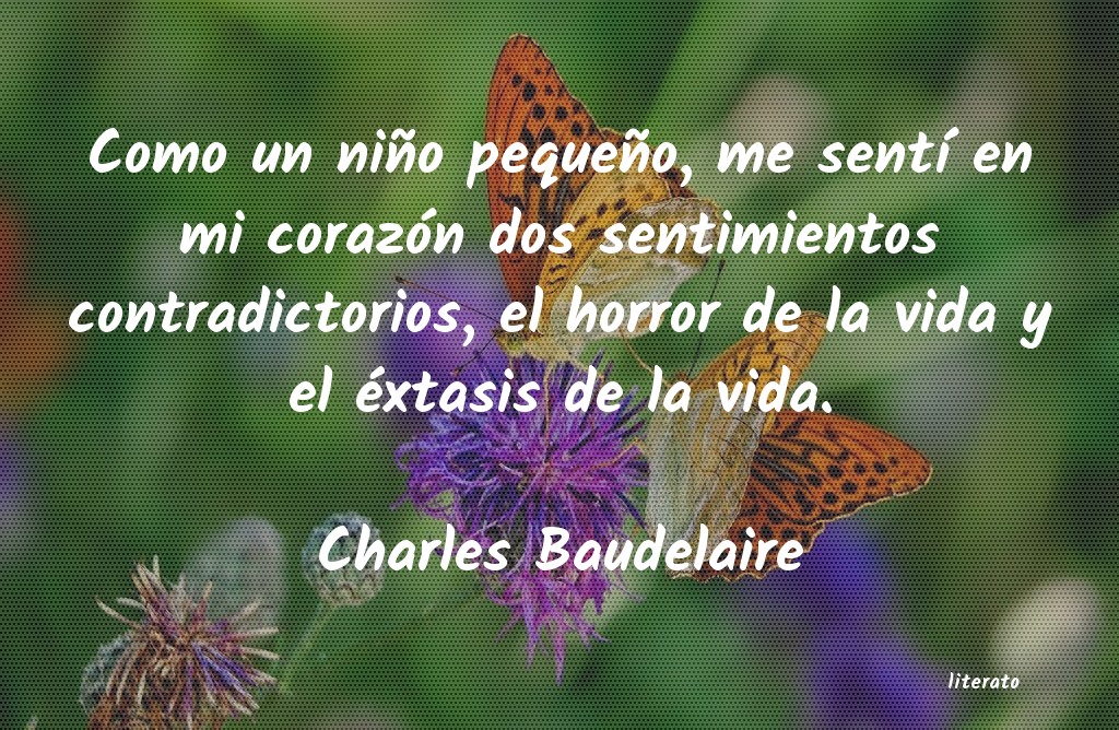 frases de Charles Baudelaire