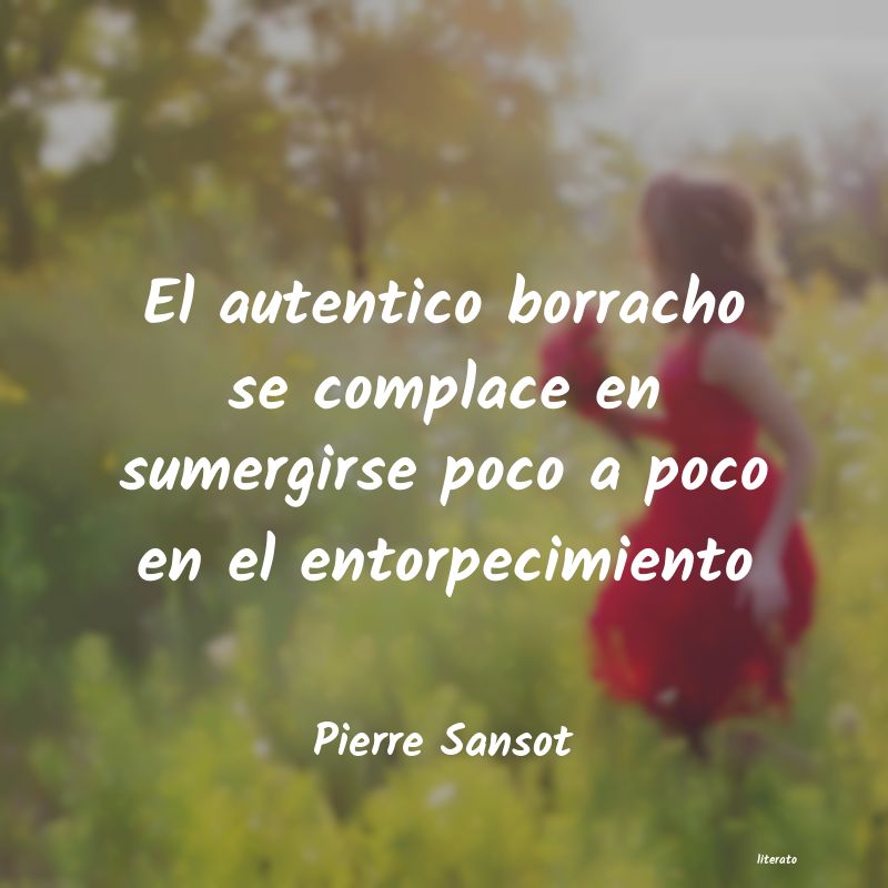 frases de Pierre Sansot