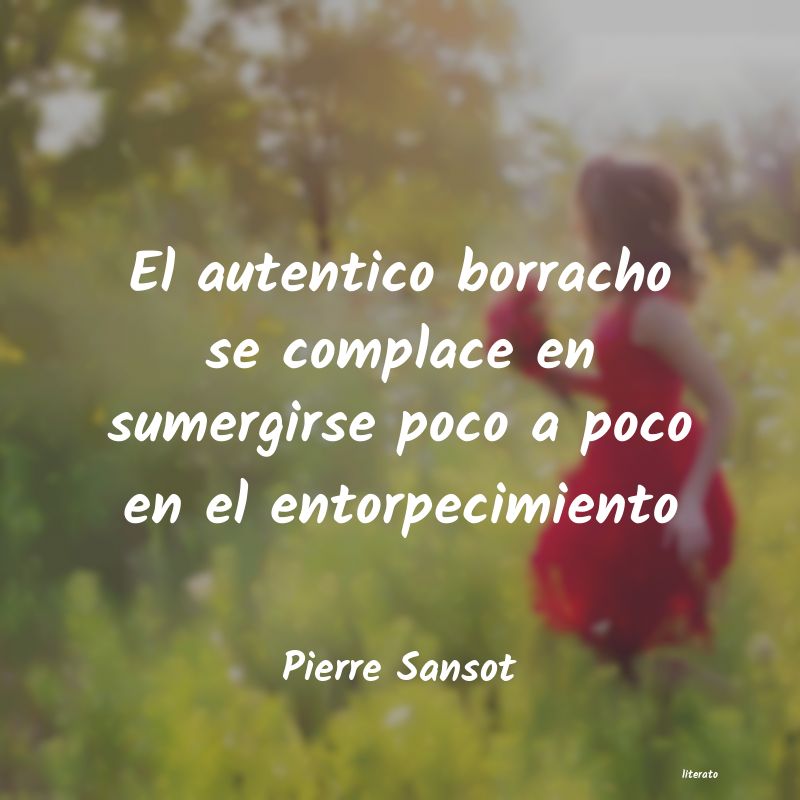 Frases de Pierre Sansot