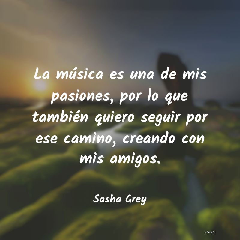 Frases de Sasha Grey