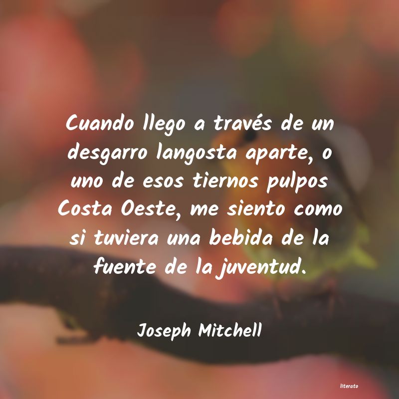 Frases de Joseph Mitchell