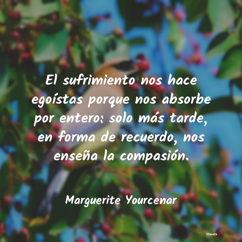 Frases de Marguerite Yourcenar