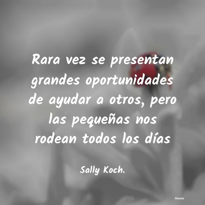 frases de Sally Koch.