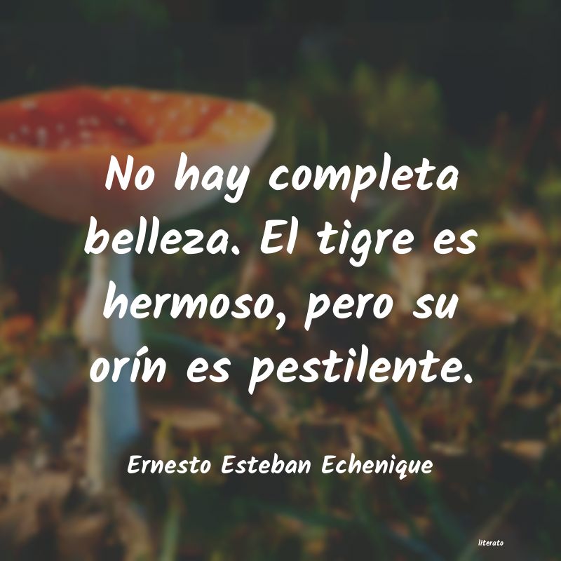 frases de Ernesto Esteban Echenique
