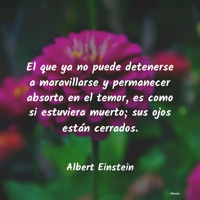 Frases de Albert Einstein