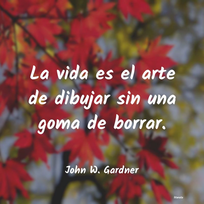 Frases de John W. Gardner