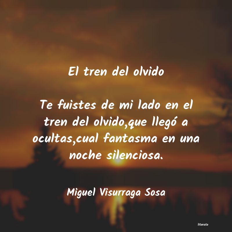 frases de Miguel Visurraga Sosa