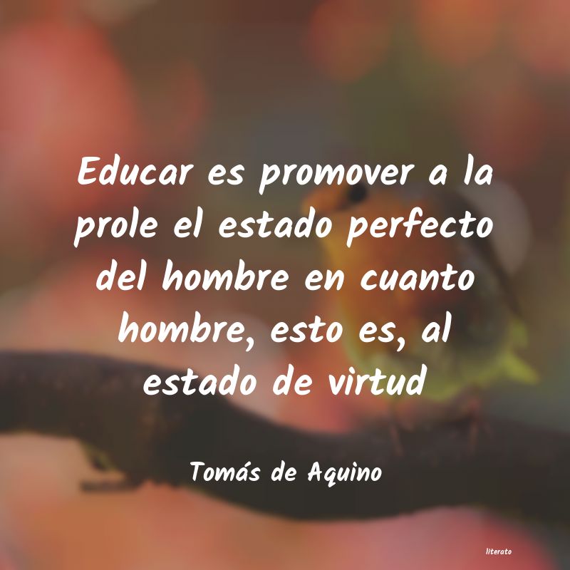 Frases de Tomás de Aquino