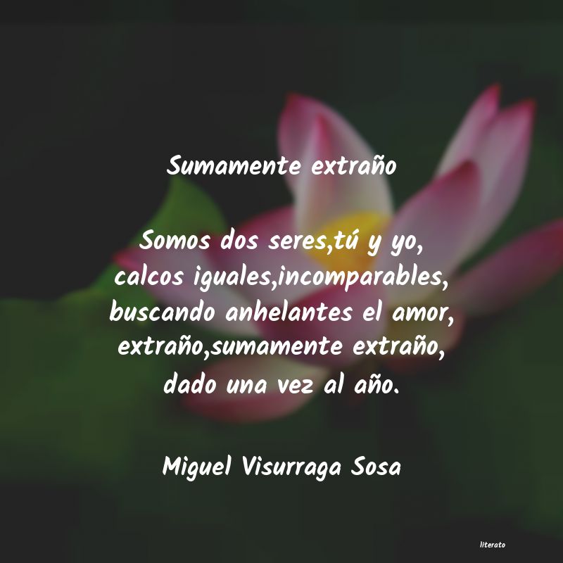 frases de Miguel Visurraga Sosa