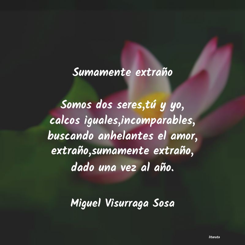 Frases de Miguel Visurraga Sosa