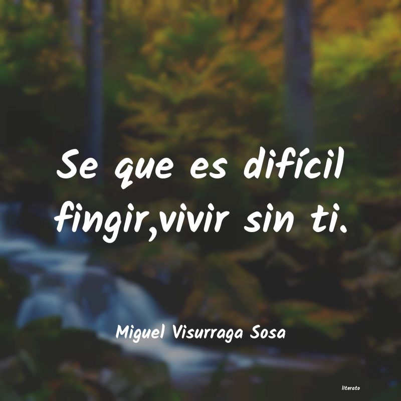 Frases de Miguel Visurraga Sosa