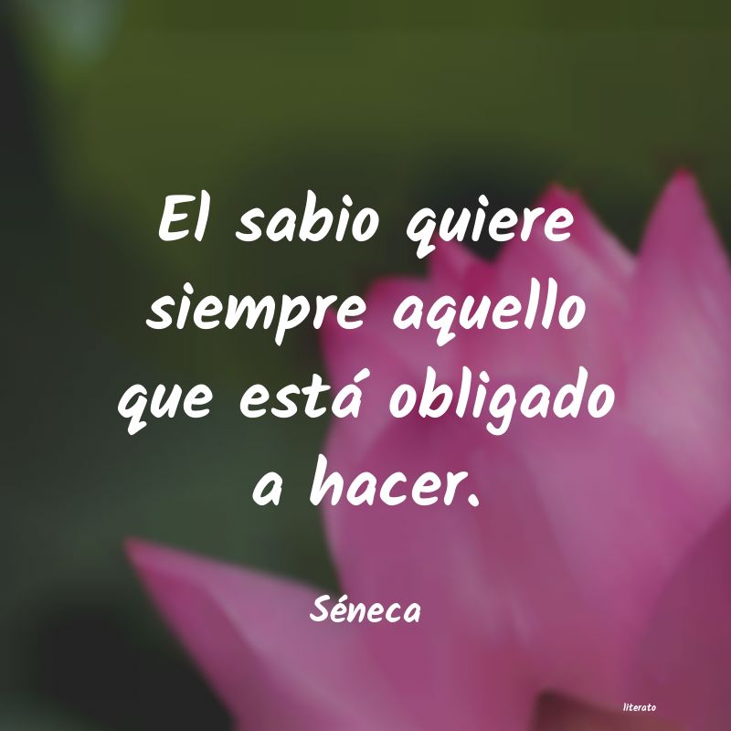 frases de Séneca