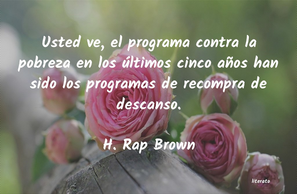 Frases de H. Rap Brown