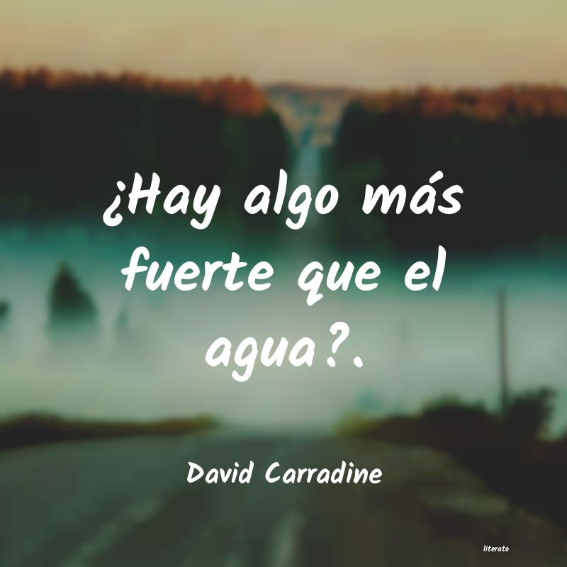 Frases de David Carradine