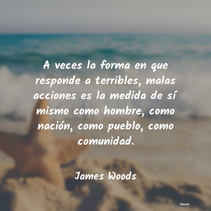 Frases de James Woods