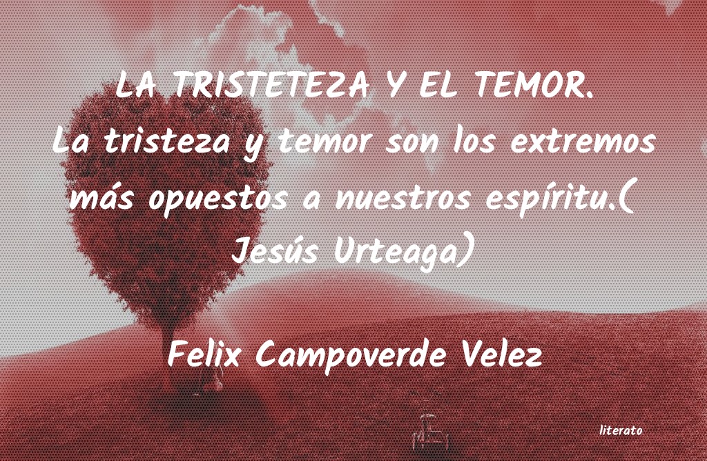 frases de Felix Campoverde Velez