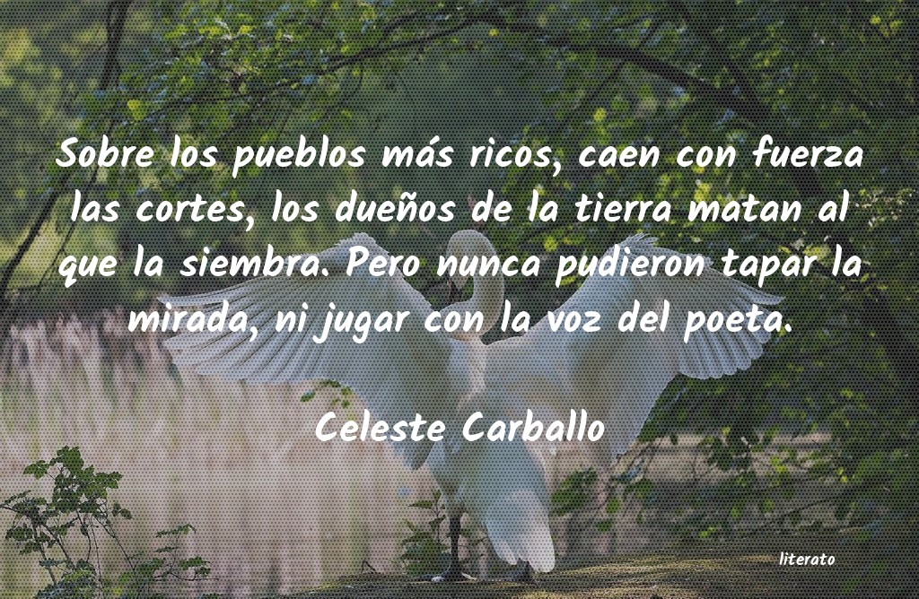 Frases de Celeste Carballo