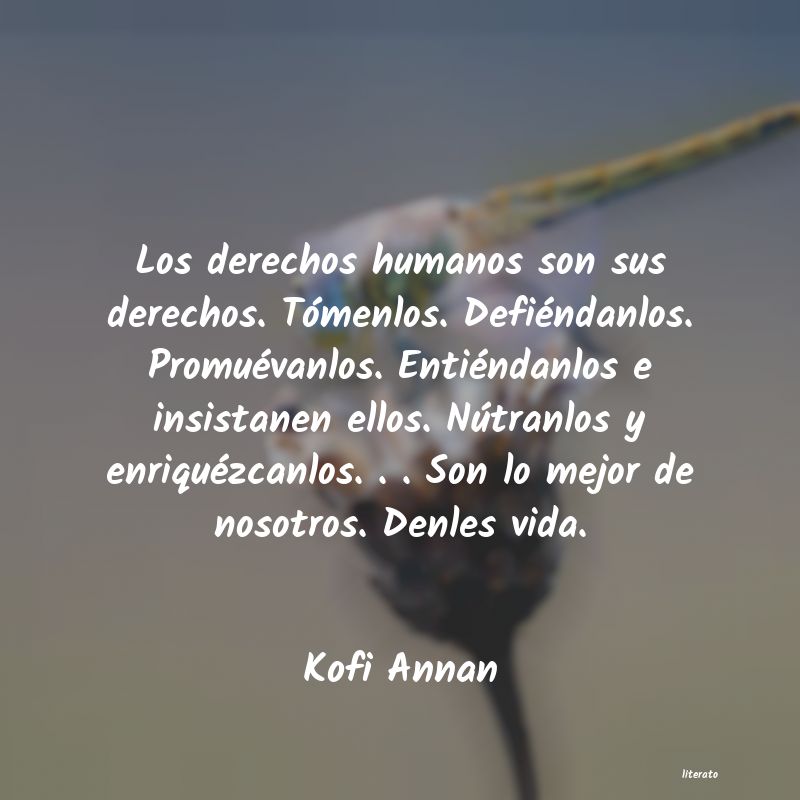 frases derechos humanos