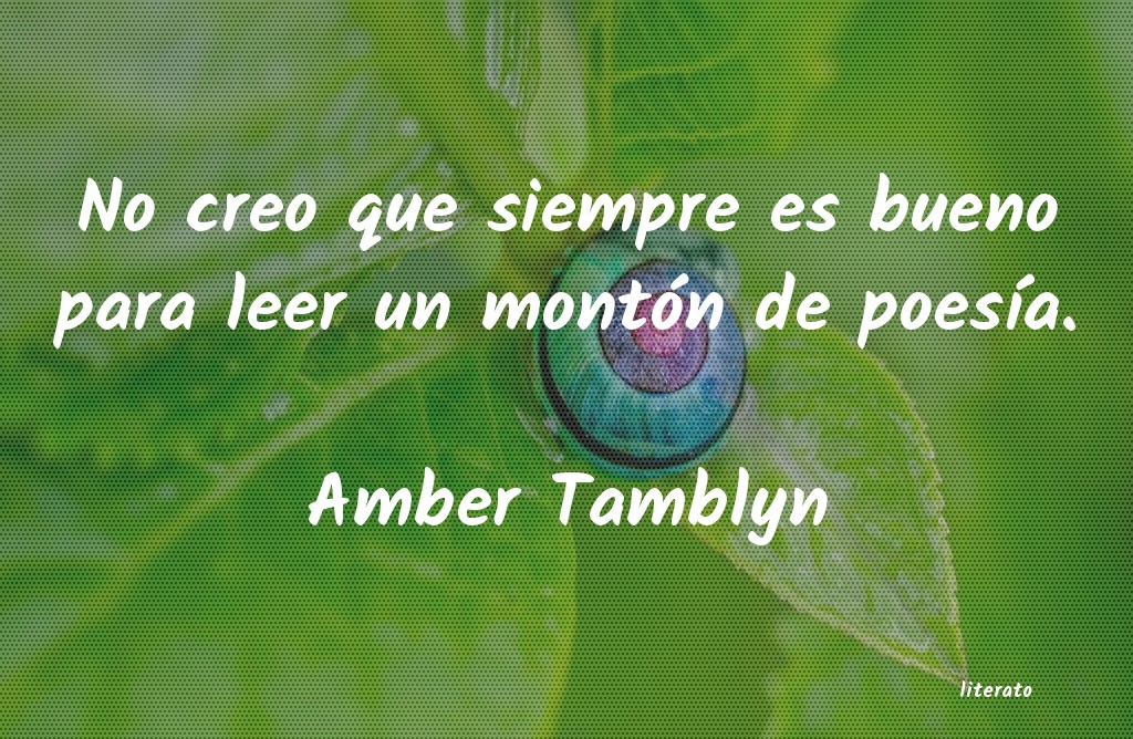 Frases de Amber Tamblyn