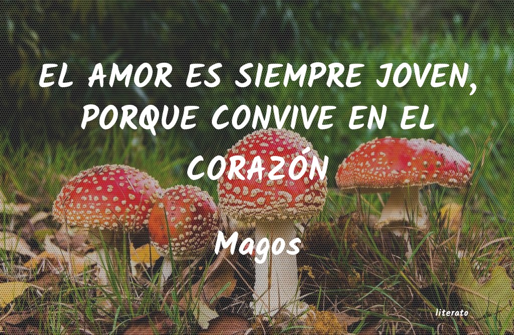 Frases de Magos