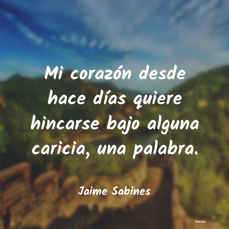 Frases de Jaime Sabines