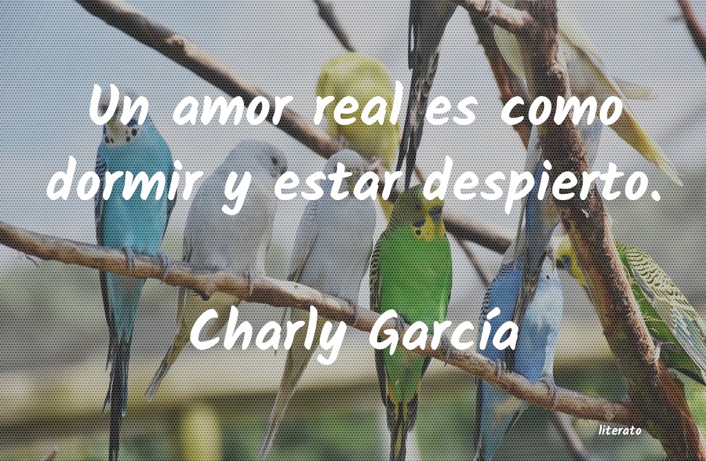 Frases de Charly García