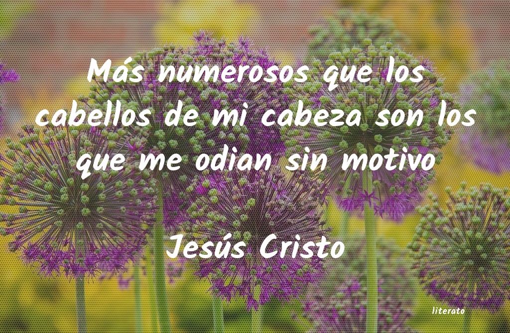 Frases de Jesús Cristo