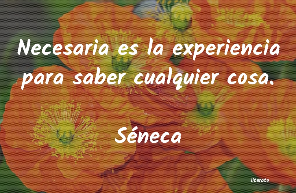 frases de Séneca