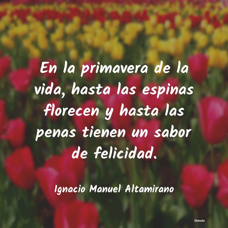 frases de Ignacio Manuel Altamirano