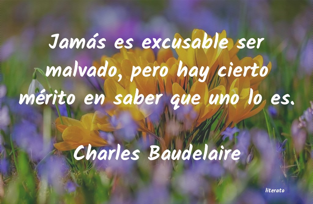 frases de Charles Baudelaire