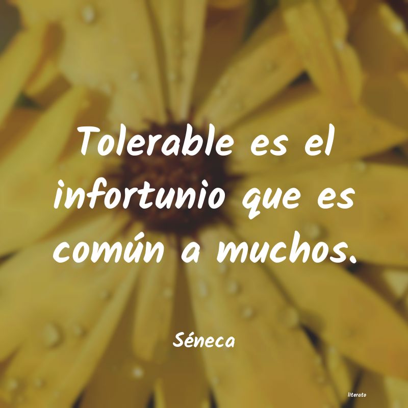 frases de Séneca