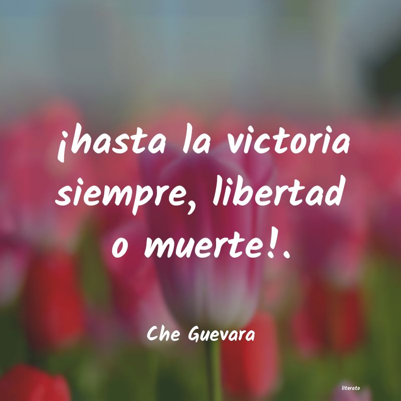 frases de Che Guevara
