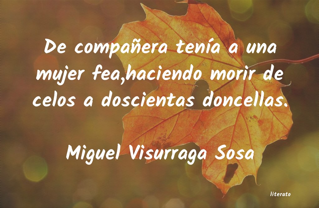 Frases de Miguel Visurraga Sosa