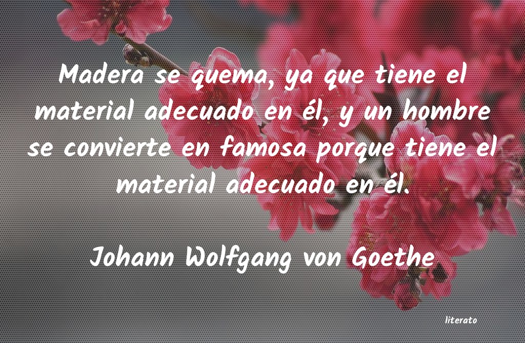 frases de Johann Wolfgang von Goethe
