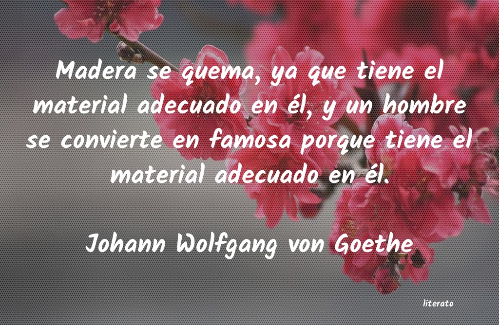 Frases de Johann Wolfgang von Goethe