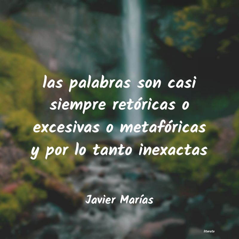 frases de Javier MarÃas