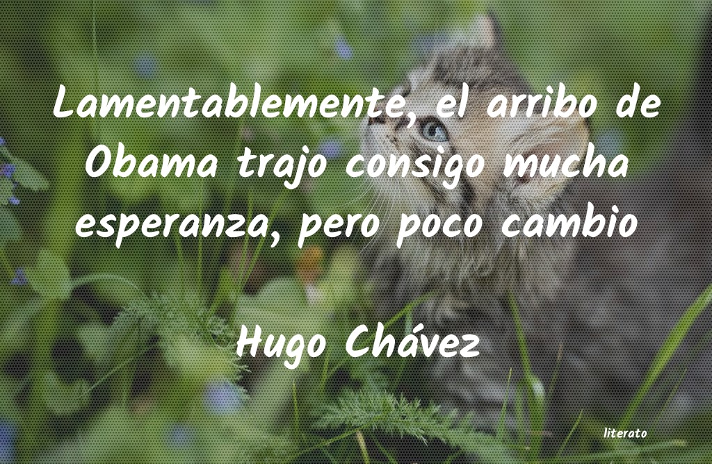 Frases de Hugo Chávez