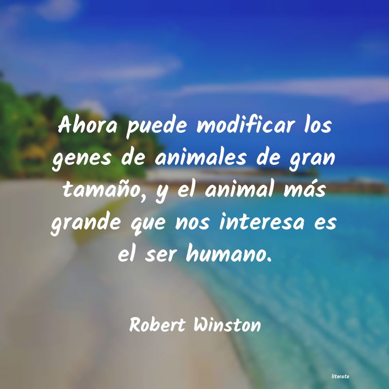 frases de Robert Winston