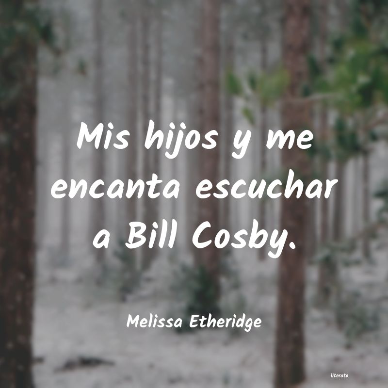 Frases de Melissa Etheridge