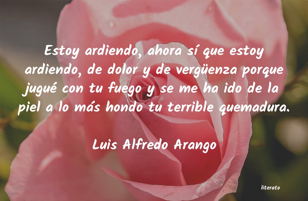 Frases de Luis Alfredo Arango