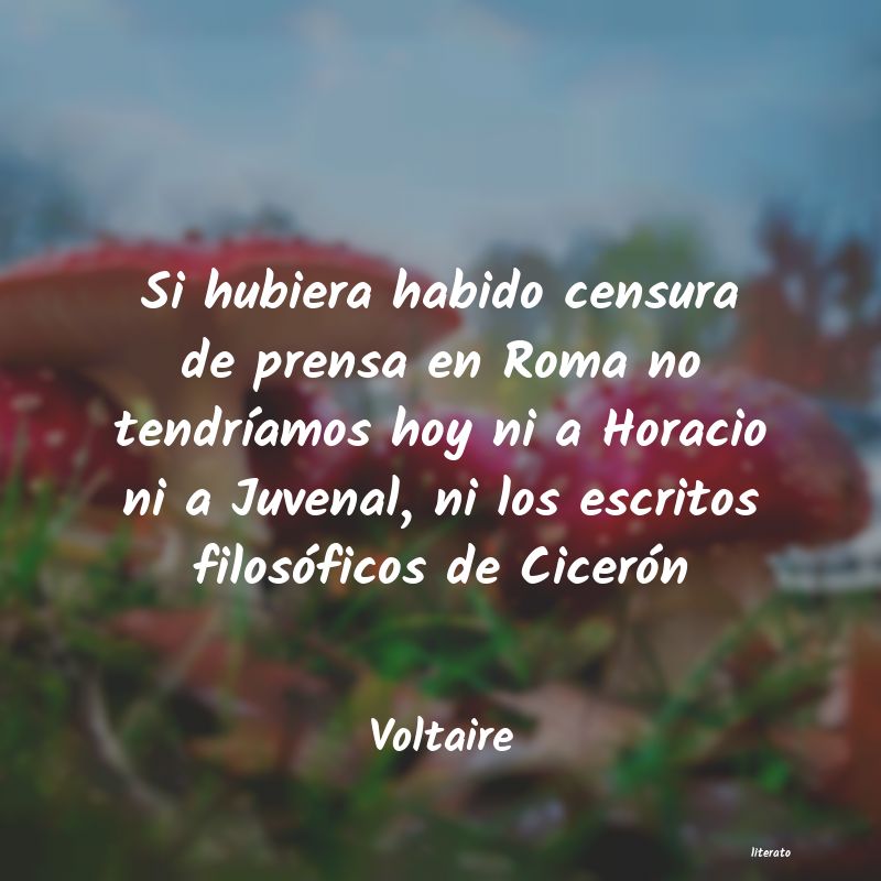 Frases de Voltaire