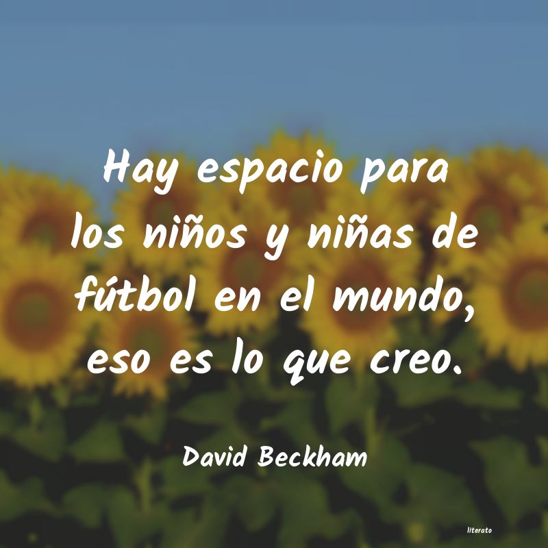 Frases de David Beckham