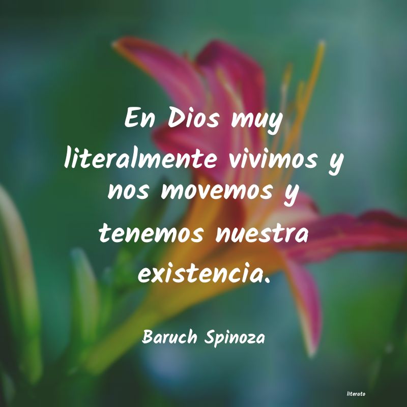 Frases de Baruch Spinoza