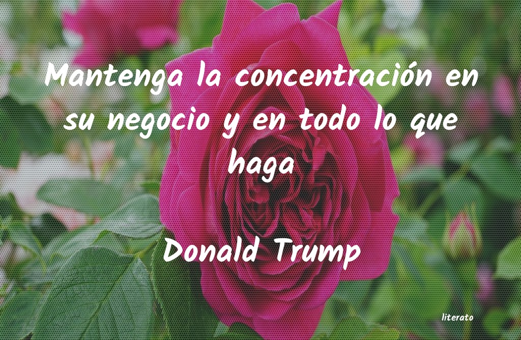 frases de Donald Trump