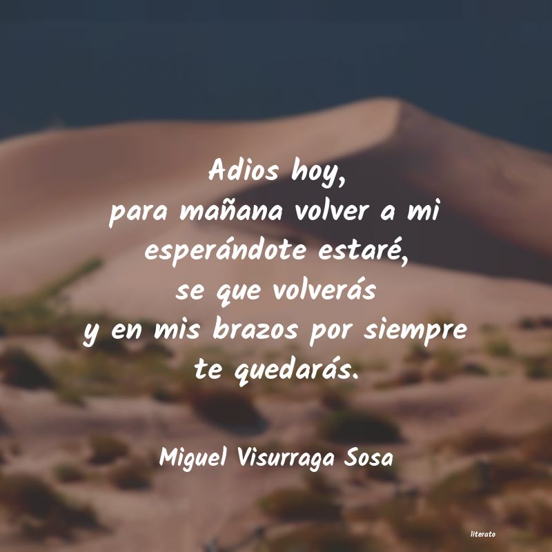 frases de Miguel Visurraga Sosa