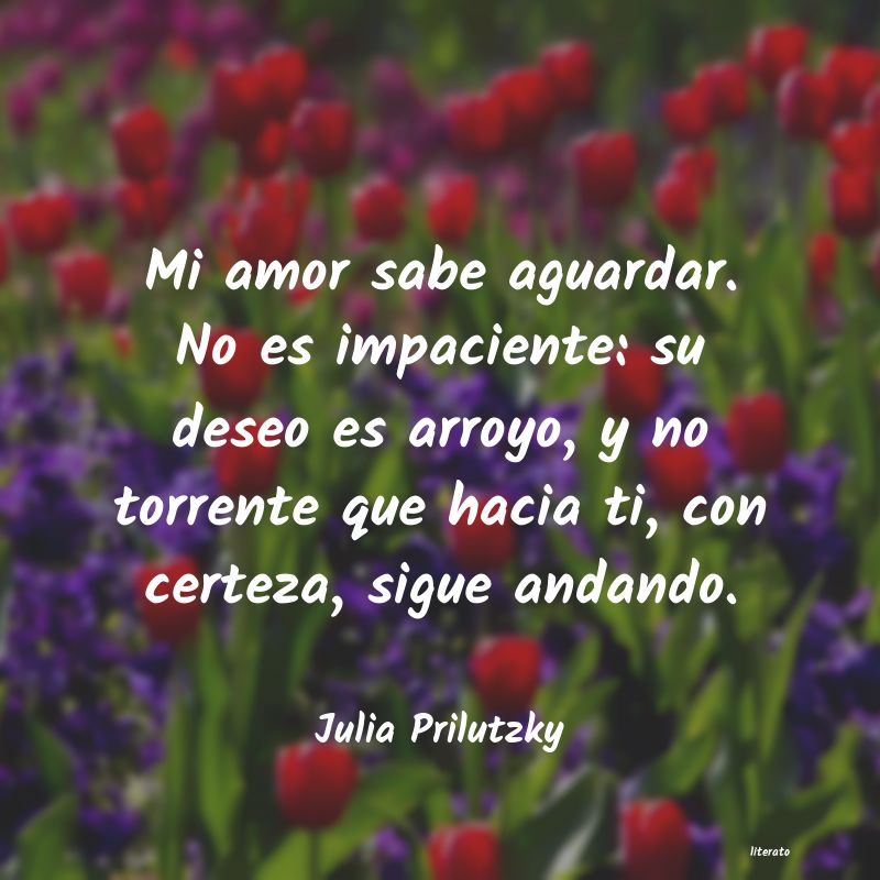 frases de Julia Prilutzky