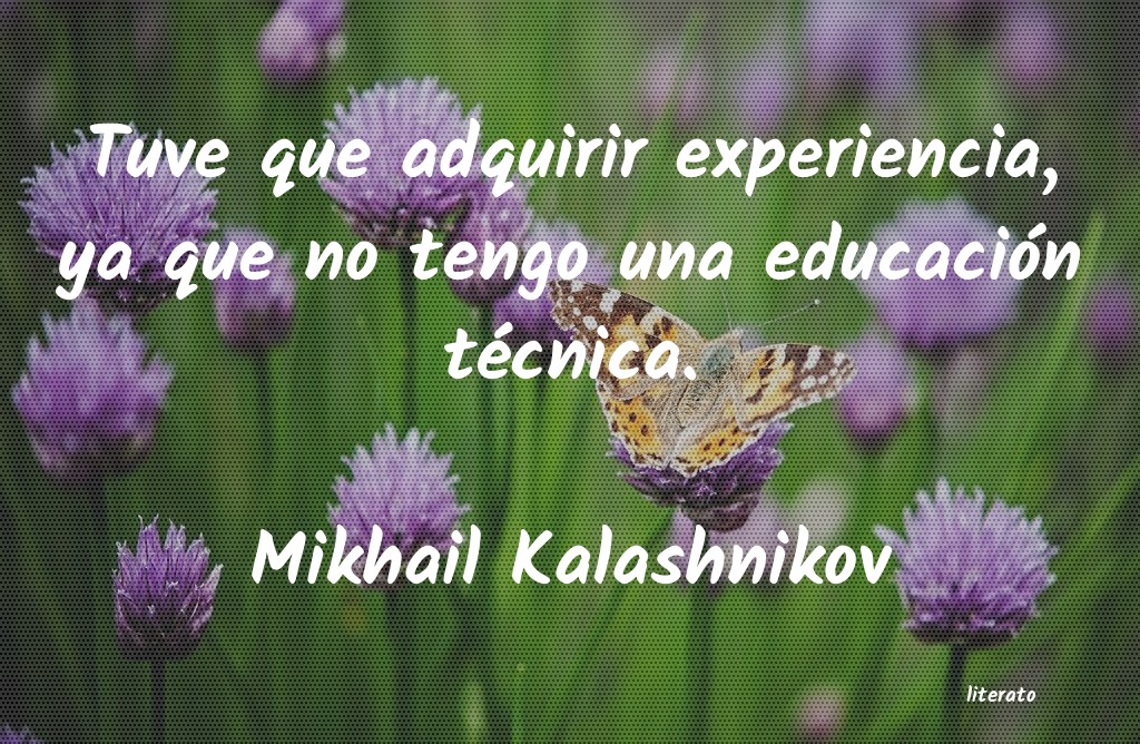 Frases de Mikhail Kalashnikov